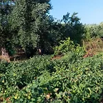 Villa Lacorte Di Ninetta. *