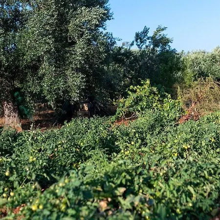 Вилла Lacorte Di Ninetta. *