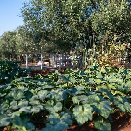 Lacorte Di Ninetta. Вилла *