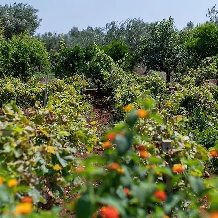 Вилла Lacorte Di Ninetta. *