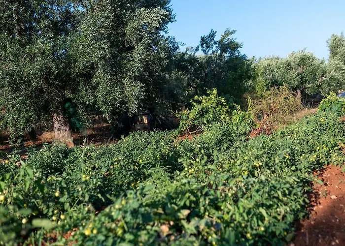 Villa Lacorte Di Ninetta. *