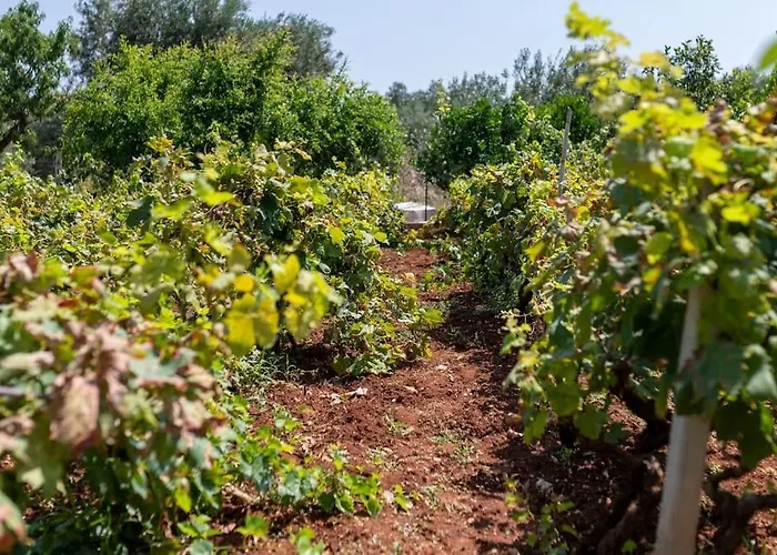 Villa Lacorte Di Ninetta. Ostuni