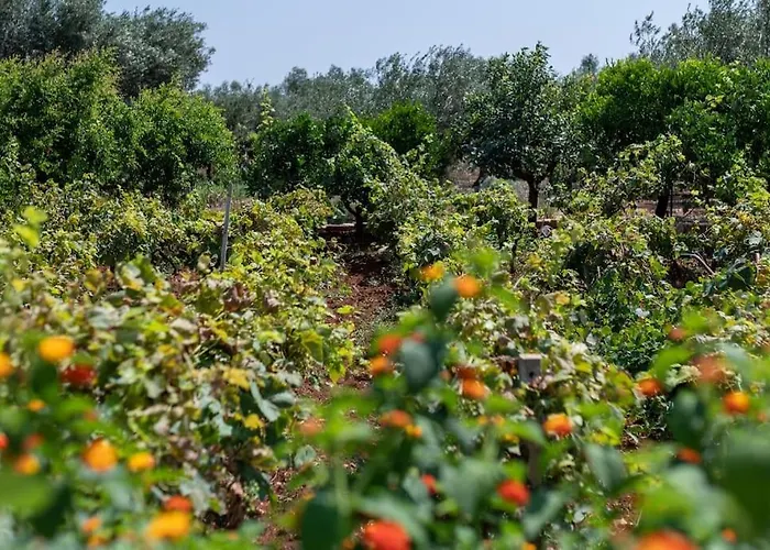 Villa Lacorte Di Ninetta. *